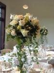 6 11 05 010 - Palomino photo gallery