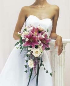 lily rose stephanotis - Contemporary Bride