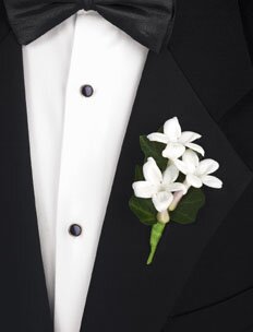 t097 05 - Stephanotis Boutonnierre