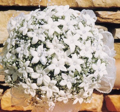 Awesome Blossoms Weddings - 9