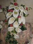 101 0141 - Gloria's Silk Bridal Boutique